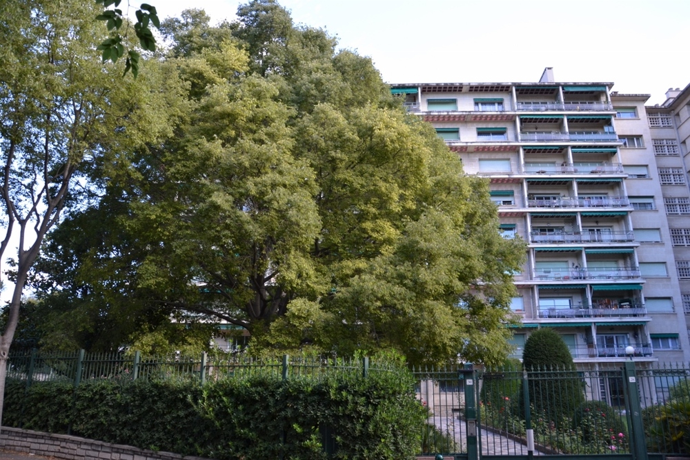 Picardie - Marseille 13008