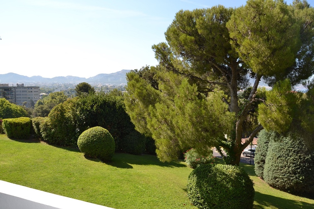 Studio Thalassa - MARSEILLE 13008