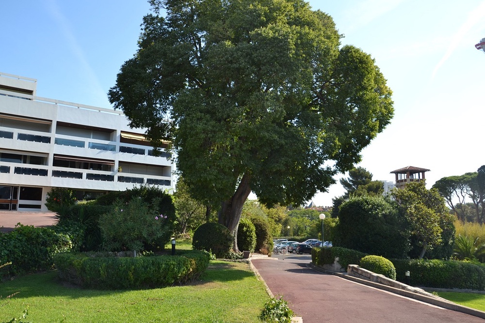 Studio Thalassa - MARSEILLE 13008