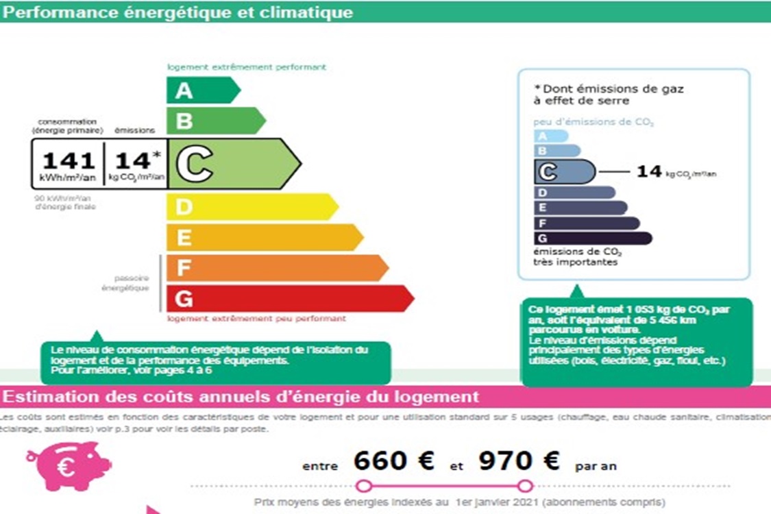 Jungle - MARSEILLE 13004